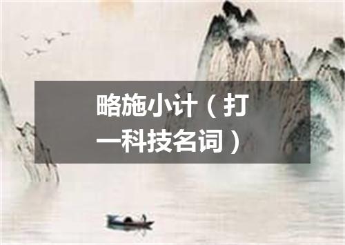 略施小计（打一科技名词）