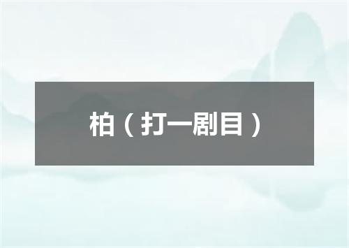 柏（打一剧目）