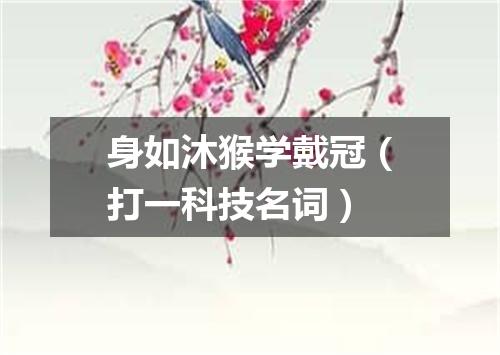 身如沐猴学戴冠（打一科技名词）