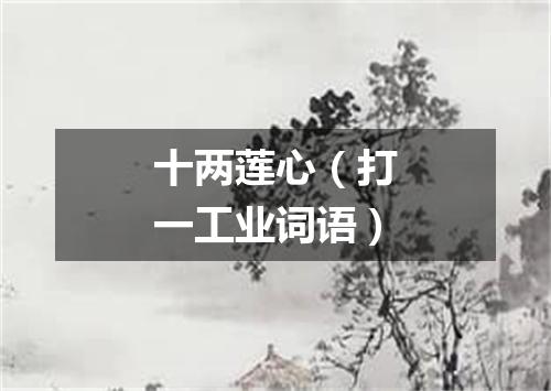 十两莲心（打一工业词语）