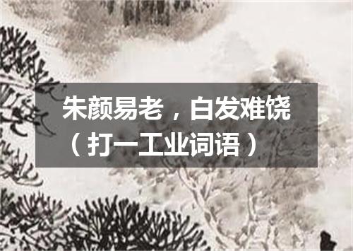 朱颜易老，白发难饶（打一工业词语）