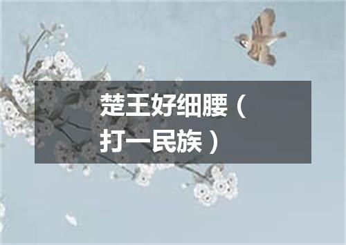 楚王好细腰（打一民族）