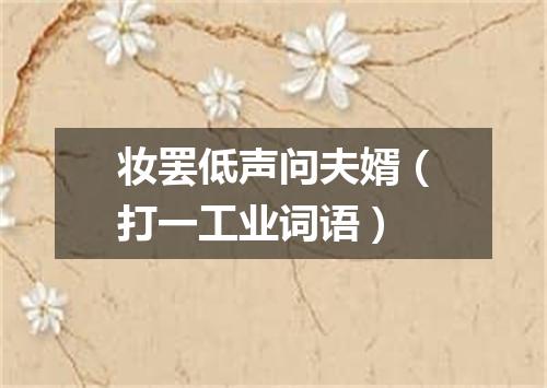 妆罢低声问夫婿（打一工业词语）