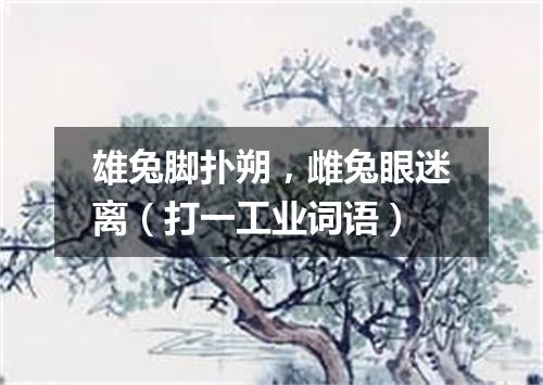 雄兔脚扑朔，雌兔眼迷离（打一工业词语）