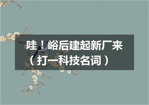 哇！峪后建起新厂来（打一科技名词）