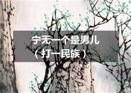 宁无一个是男儿（打一民族）