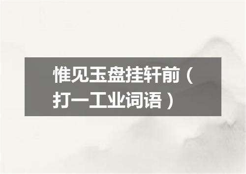 惟见玉盘挂轩前（打一工业词语）