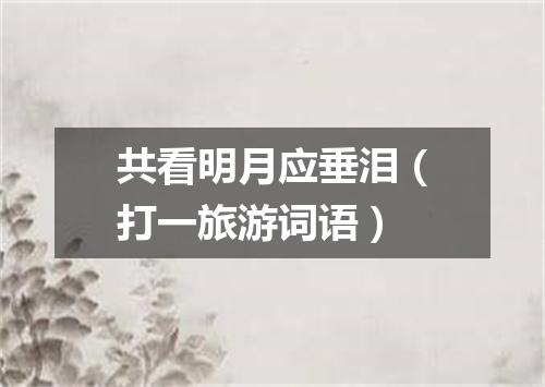 共看明月应垂泪（打一旅游词语）