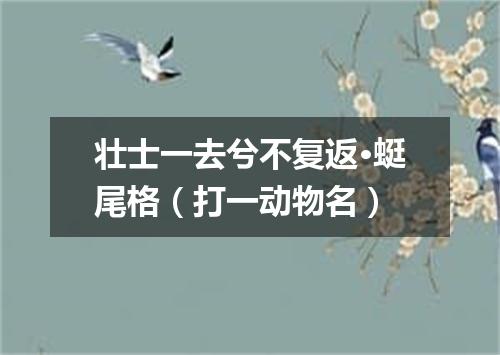 壮士一去兮不复返·蜓尾格（打一动物名）