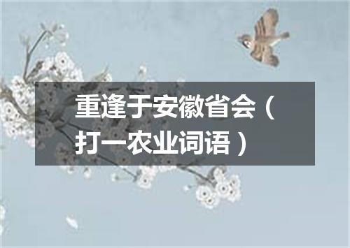 重逢于安徽省会（打一农业词语）