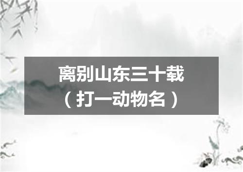 离别山东三十载（打一动物名）