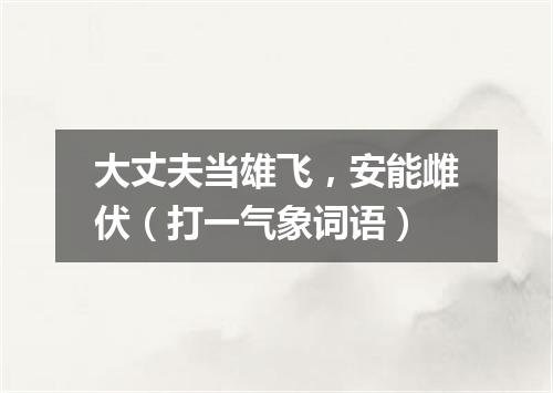 大丈夫当雄飞，安能雌伏（打一气象词语）