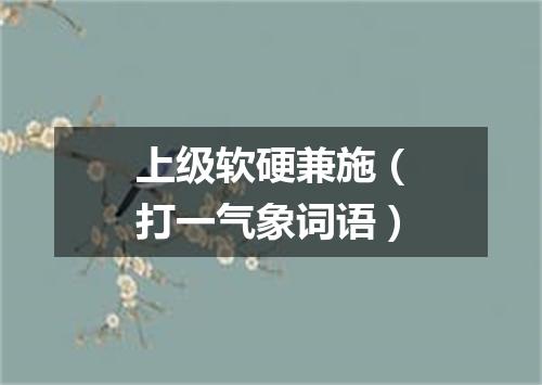 上级软硬兼施（打一气象词语）