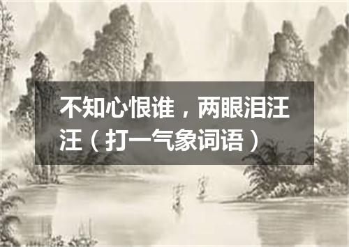 不知心恨谁，两眼泪汪汪（打一气象词语）
