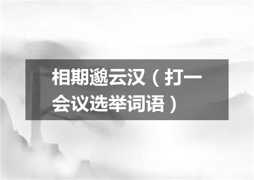 相期邈云汉（打一会议选举词语）