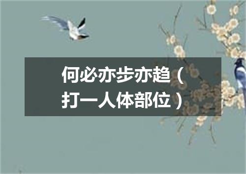何必亦步亦趋（打一人体部位）