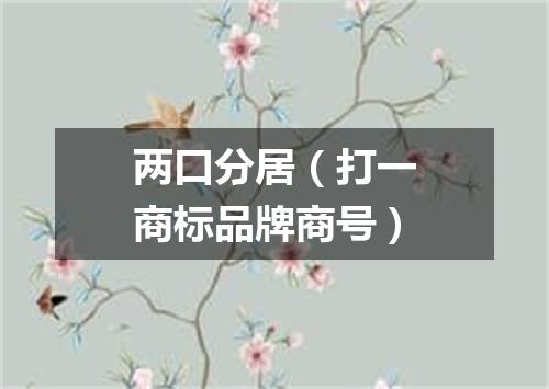 两口分居（打一商标品牌商号）