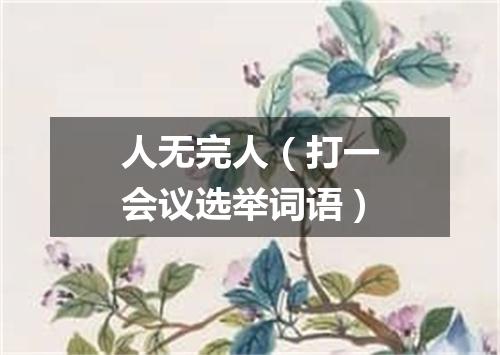 人无完人（打一会议选举词语）