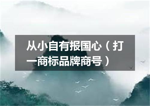 从小自有报国心（打一商标品牌商号）