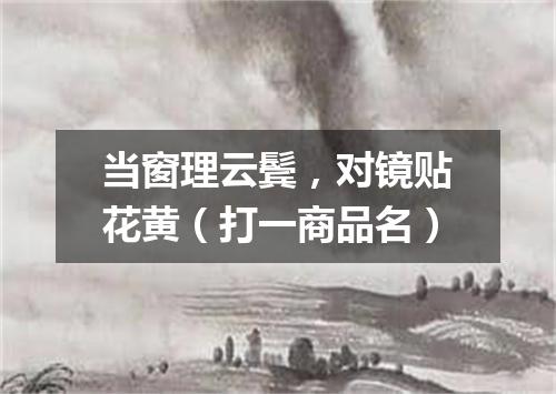 当窗理云鬓，对镜贴花黄（打一商品名）