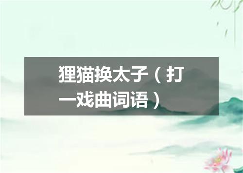 狸猫换太子（打一戏曲词语）