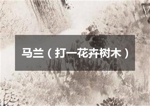 马兰（打一花卉树木）