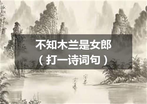 不知木兰是女郎（打一诗词句）