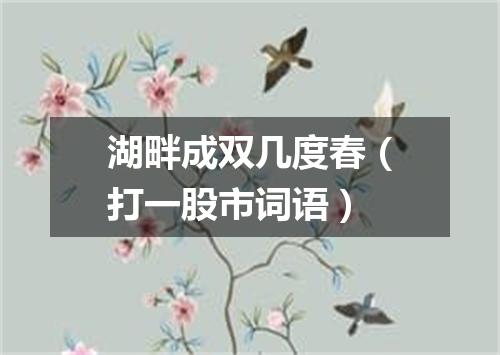 湖畔成双几度春（打一股市词语）