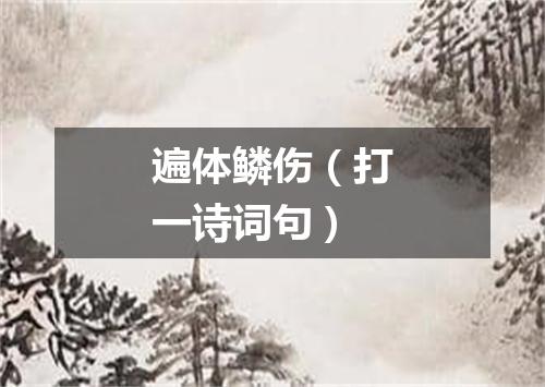 遍体鳞伤（打一诗词句）