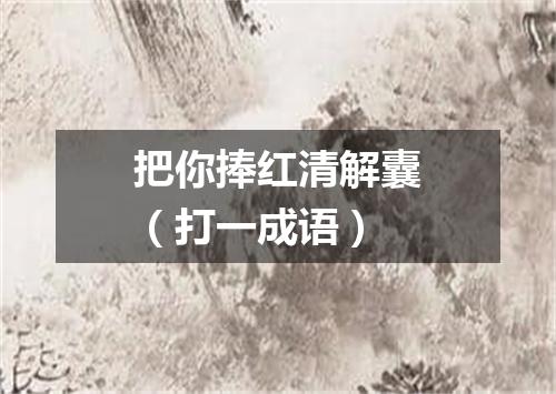 把你捧红清解囊（打一成语）