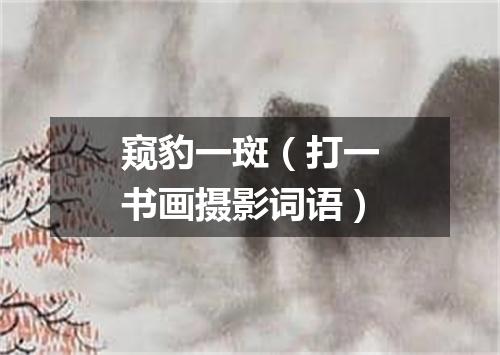 窥豹一斑（打一书画摄影词语）