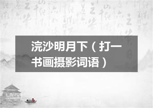 浣沙明月下（打一书画摄影词语）