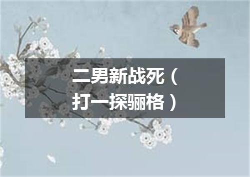 二男新战死（打一探骊格）