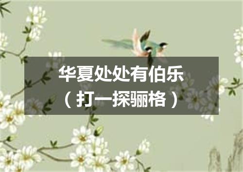 华夏处处有伯乐（打一探骊格）