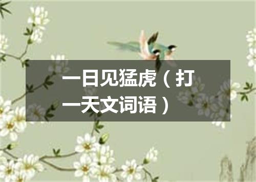 一日见猛虎（打一天文词语）