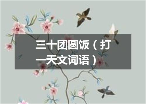 三十团圆饭（打一天文词语）