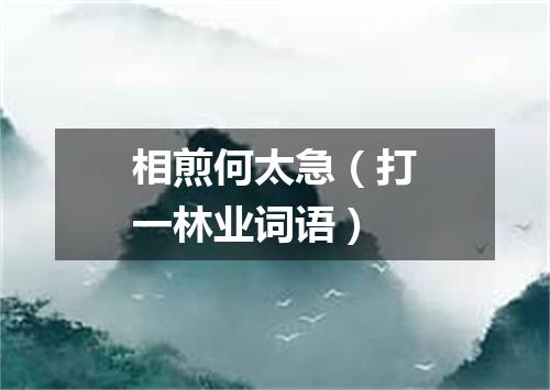 相煎何太急（打一林业词语）
