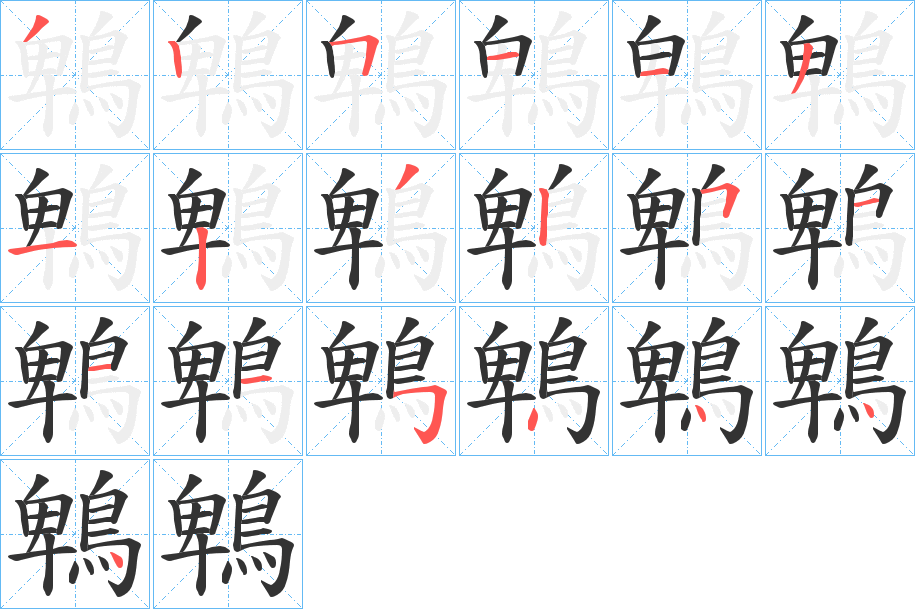 鵯的笔画顺序字笔顺的正确写法图